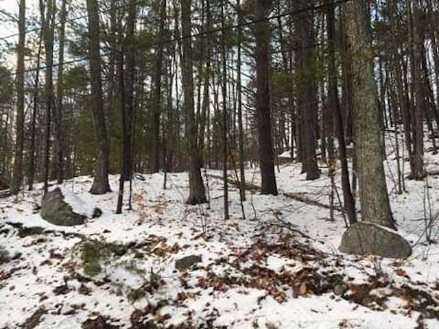 16 Varney Point Rd Right Gilford, NH 03249 - Photo 4 of 5