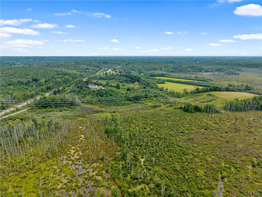 0 Cornell Road Mexico, NY 13114 - Photo 21 of 33 Gallery Image 21