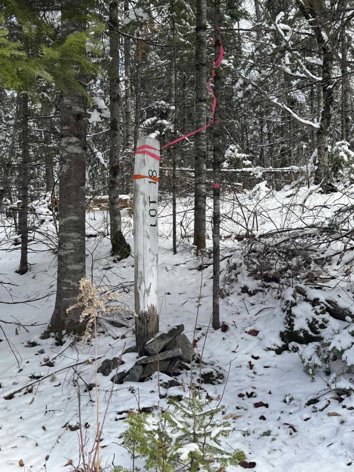 Tbd Trafton Road Parkman, ME 04443 - Photo 16 of 17