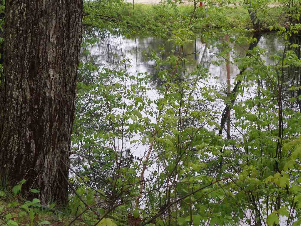 1 Tunnel Road Grafton, NH 03240 - Photo 11 of 32 Gallery Image 11