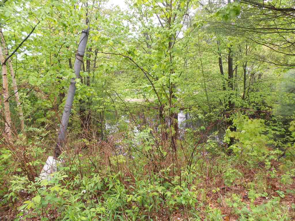 1 Tunnel Road Grafton, NH 03240 - Photo 12 of 32 Gallery Image 12
