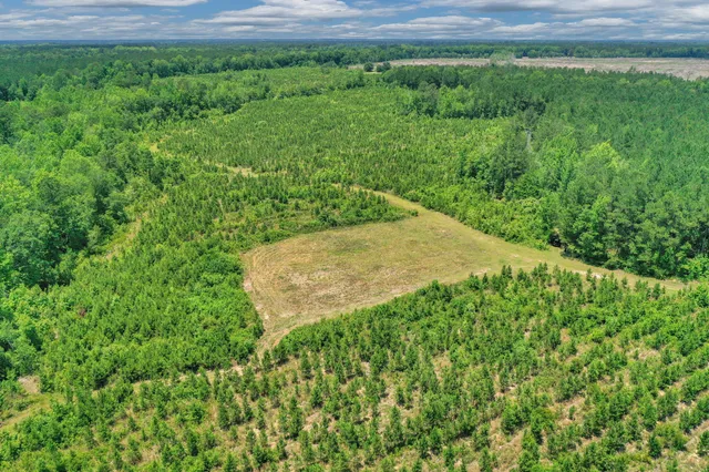 $1,299,000 | 5120 North Brewington Road, Alcolu, SC 29001