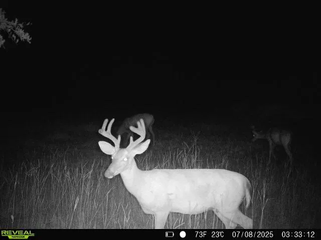 $1,299,000 | 5120 North Brewington Road, Alcolu, SC 29001