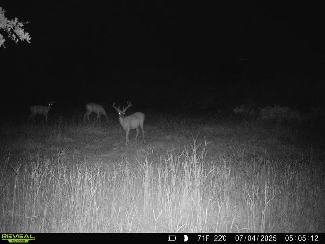 $1,299,000 | 5120 North Brewington Road, Alcolu, SC 29001