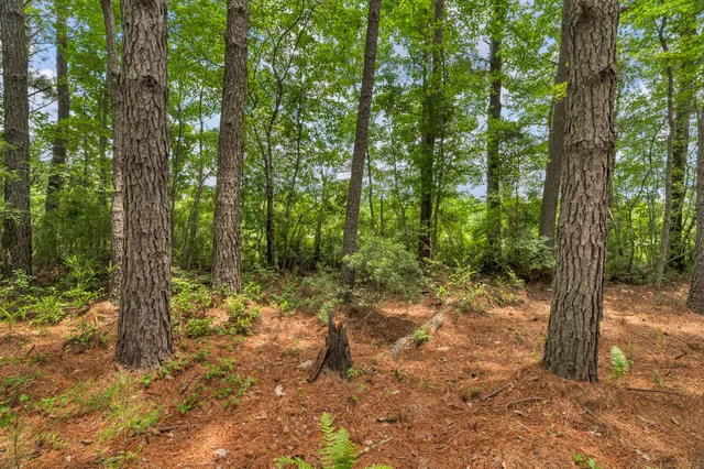 $1,299,000 | 5120 North Brewington Road, Alcolu, SC 29001