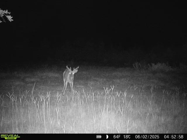 $1,299,000 | 5120 North Brewington Road, Alcolu, SC 29001