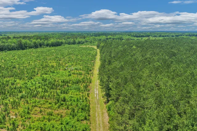 $1,299,000 | 5120 North Brewington Road, Alcolu, SC 29001