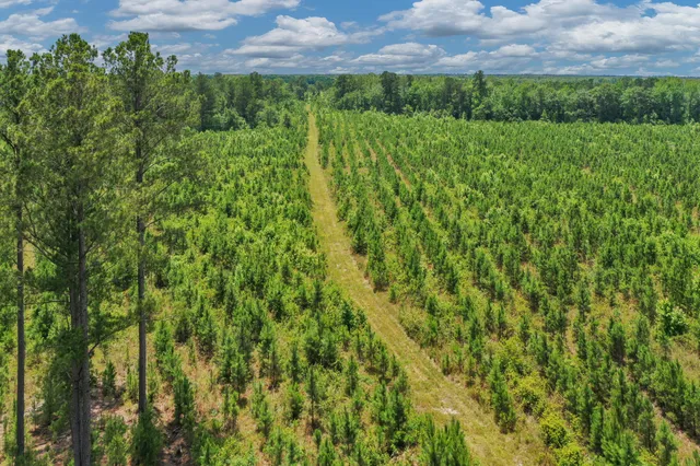 $1,299,000 | 5120 North Brewington Road, Alcolu, SC 29001