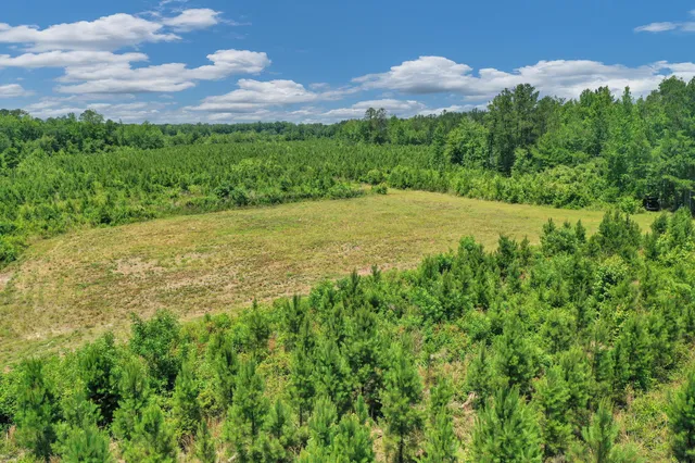 $1,299,000 | 5120 North Brewington Road, Alcolu, SC 29001