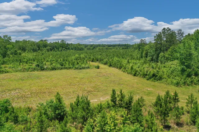 $1,299,000 | 5120 North Brewington Road, Alcolu, SC 29001