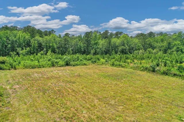 $1,299,000 | 5120 North Brewington Road, Alcolu, SC 29001