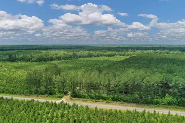 $1,299,000 | 5120 North Brewington Road, Alcolu, SC 29001