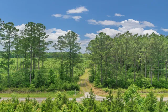 $1,299,000 | 5120 North Brewington Road, Alcolu, SC 29001