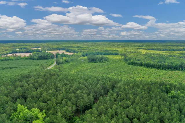 $1,299,000 | 5120 North Brewington Road, Alcolu, SC 29001