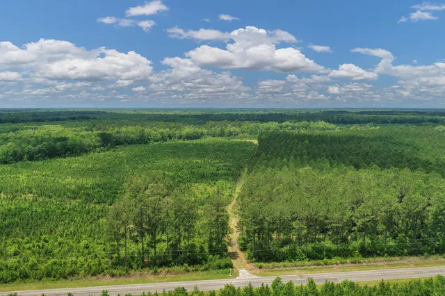 $1,299,000 | 5120 North Brewington Road, Alcolu, SC 29001