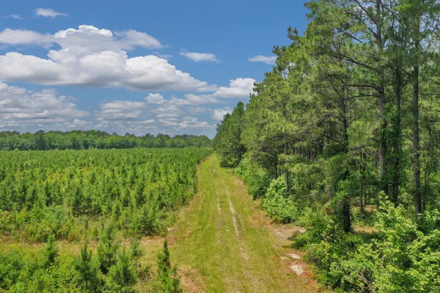 $1,299,000 | 5120 North Brewington Road, Alcolu, SC 29001