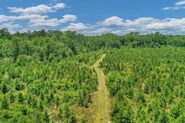 $1,299,000 | 5120 North Brewington Road, Alcolu, SC 29001