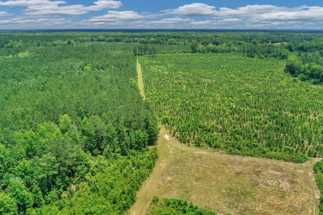 $1,299,000 | 5120 North Brewington Road, Alcolu, SC 29001