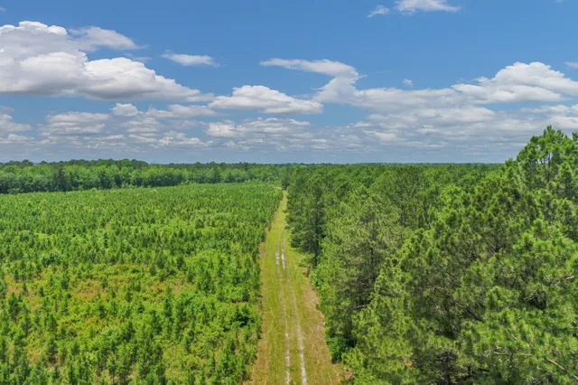 $1,299,000 | 5120 North Brewington Road, Alcolu, SC 29001