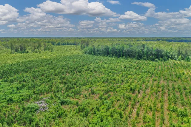 $1,299,000 | 5120 North Brewington Road, Alcolu, SC 29001