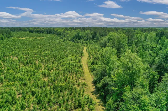 $1,299,000 | 5120 North Brewington Road, Alcolu, SC 29001