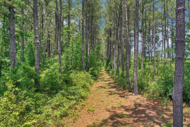 $1,299,000 | 5120 North Brewington Road, Alcolu, SC 29001