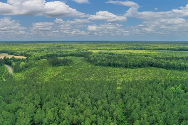 $1,299,000 | 5120 North Brewington Road, Alcolu, SC 29001