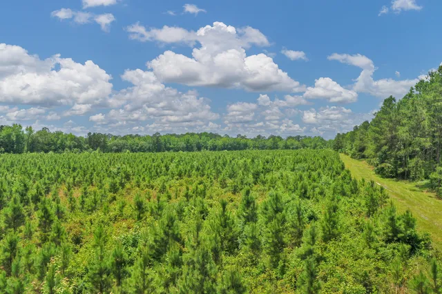 $1,299,000 | 5120 North Brewington Road, Alcolu, SC 29001