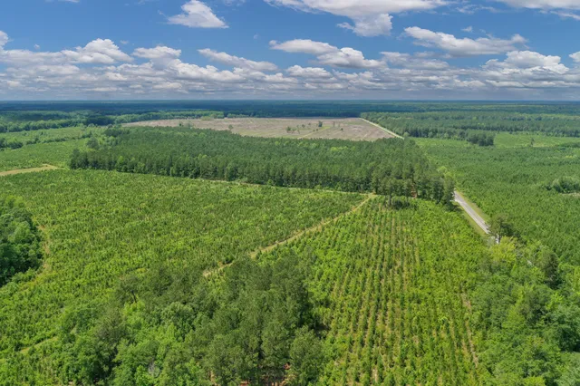 $1,299,000 | 5120 North Brewington Road, Alcolu, SC 29001