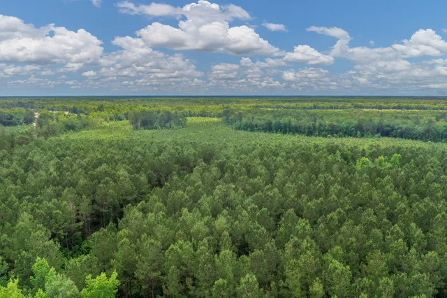 $1,299,000 | 5120 North Brewington Road, Alcolu, SC 29001