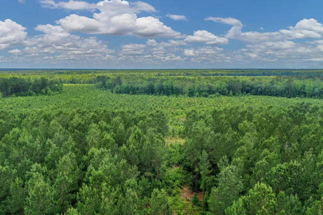 $1,299,000 | 5120 North Brewington Road, Alcolu, SC 29001