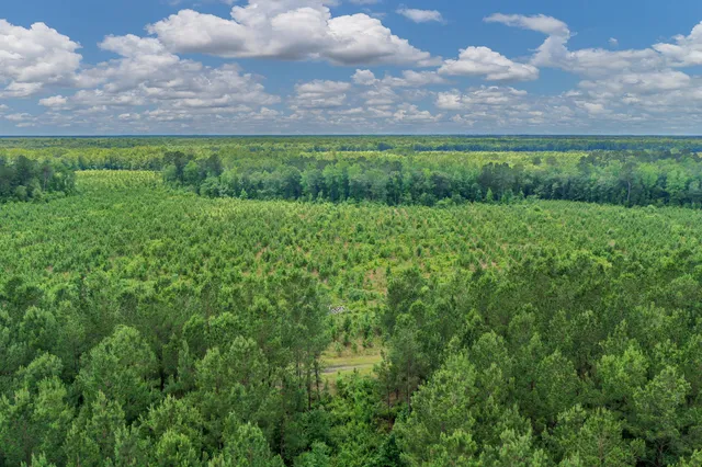 $1,299,000 | 5120 North Brewington Road, Alcolu, SC 29001