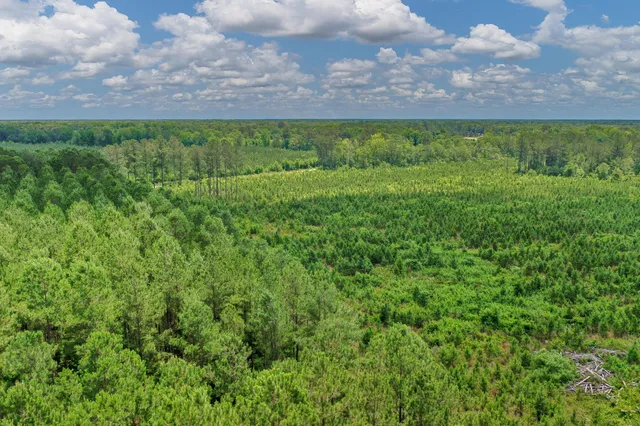 $1,299,000 | 5120 North Brewington Road, Alcolu, SC 29001