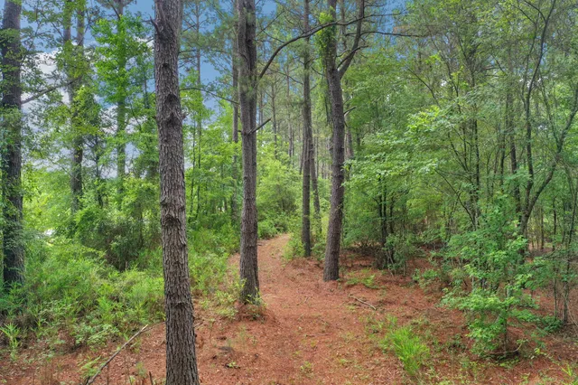 $1,299,000 | 5120 North Brewington Road, Alcolu, SC 29001