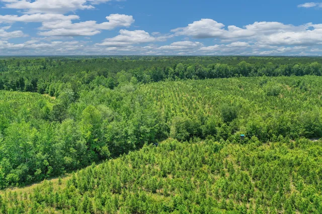 $1,299,000 | 5120 North Brewington Road, Alcolu, SC 29001