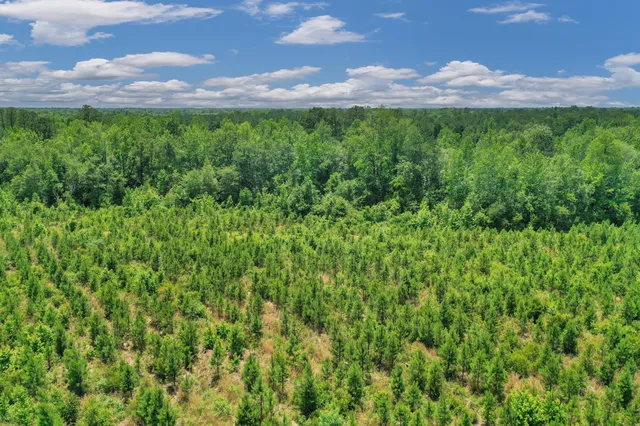 $1,299,000 | 5120 North Brewington Road, Alcolu, SC 29001