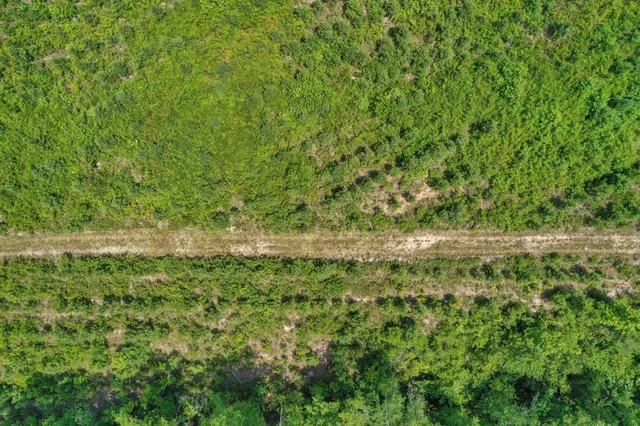 $1,299,000 | 5120 North Brewington Road, Alcolu, SC 29001