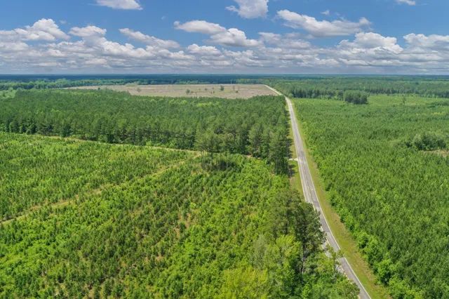 $1,299,000 | 5120 North Brewington Road, Alcolu, SC 29001