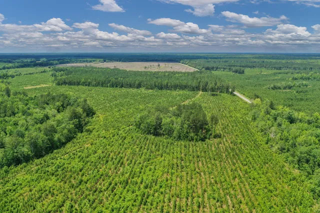 $1,299,000 | 5120 North Brewington Road, Alcolu, SC 29001