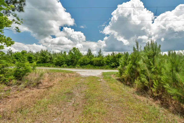 $1,299,000 | 5120 North Brewington Road, Alcolu, SC 29001