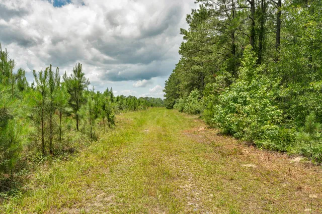 $1,299,000 | 5120 North Brewington Road, Alcolu, SC 29001