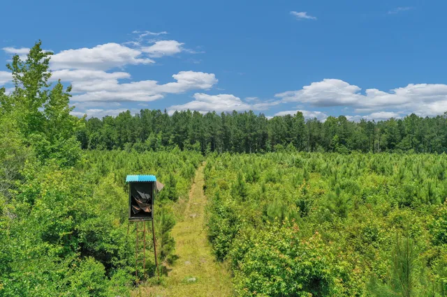 $1,299,000 | 5120 North Brewington Road, Alcolu, SC 29001