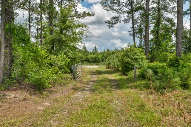 $1,299,000 | 5120 North Brewington Road, Alcolu, SC 29001