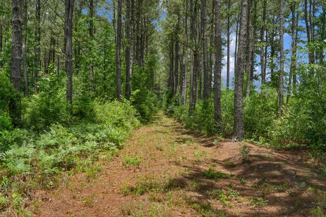 $1,299,000 | 5120 North Brewington Road, Alcolu, SC 29001