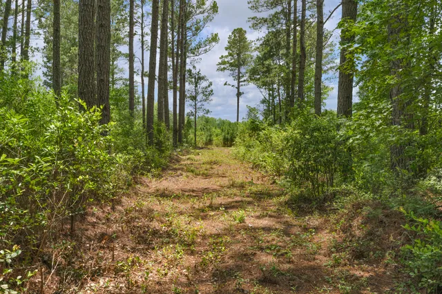 $1,299,000 | 5120 North Brewington Road, Alcolu, SC 29001