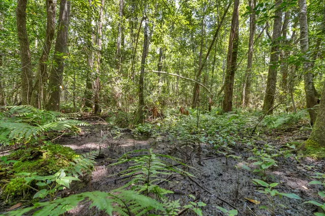 $1,299,000 | 5120 North Brewington Road, Alcolu, SC 29001