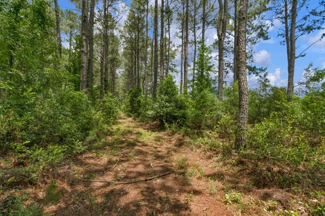 $1,299,000 | 5120 North Brewington Road, Alcolu, SC 29001