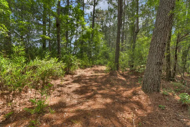 $1,299,000 | 5120 North Brewington Road, Alcolu, SC 29001