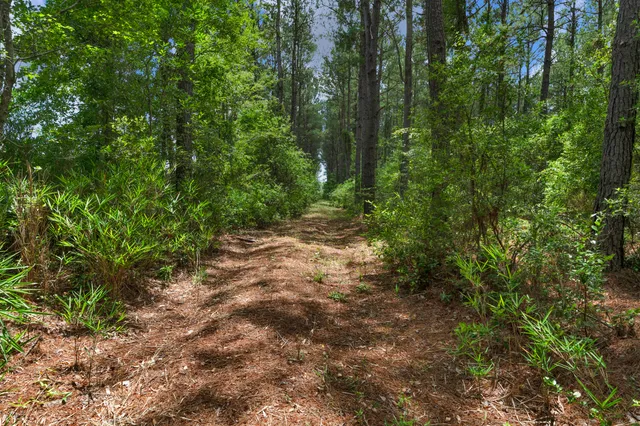 $1,299,000 | 5120 North Brewington Road, Alcolu, SC 29001