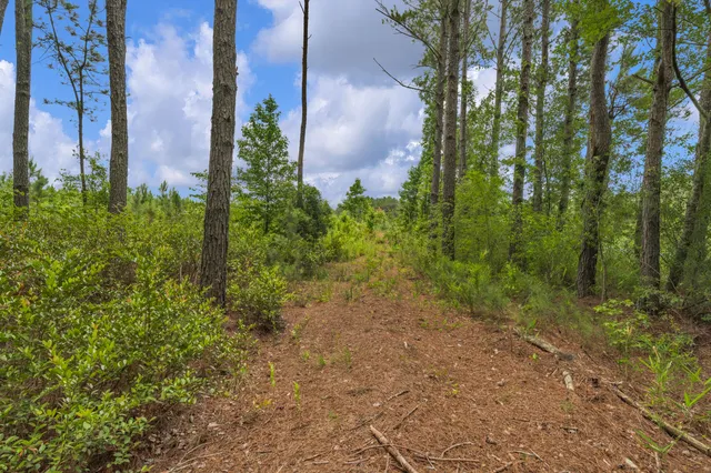 $1,299,000 | 5120 North Brewington Road, Alcolu, SC 29001